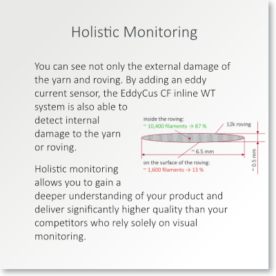 CF inline WT Holistic Monitoring.png