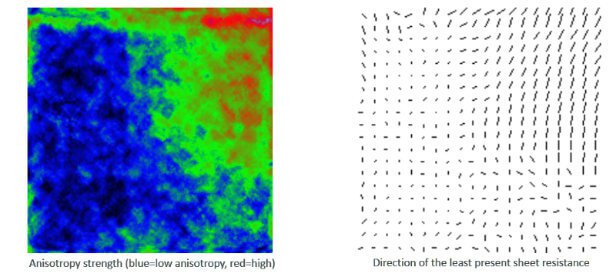 Visualization of the distribution of the electrical anisotropy